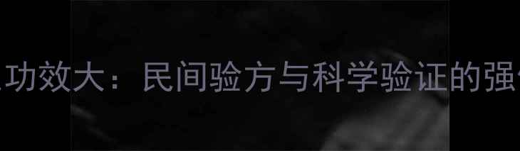 五加皮养生功效大民间验方与科学验证的强健体魄秘籍