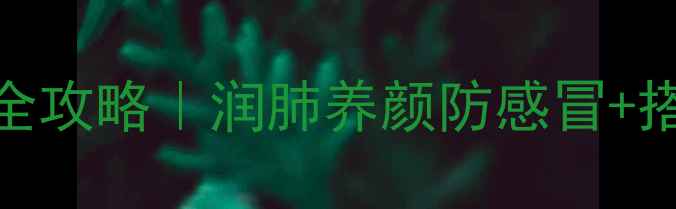 五指毛桃根养生全攻略润肺养颜防感冒搭配禁忌大公开