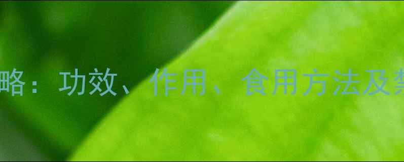 五爪龙养生全攻略功效作用食用方法及禁忌附食谱