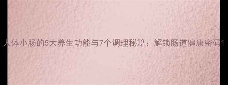 人体小肠的5大养生功能与7个调理秘籍解锁肠道健康密码