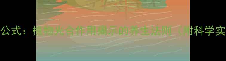 人体自愈公式植物光合作用揭示的养生法则附科学实践指南