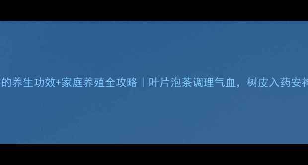 图片 人参榕的养生功效+家庭养殖全攻略｜叶片泡茶调理气血，树皮入药安神助眠1