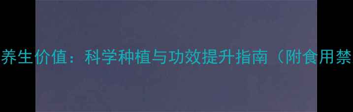 人工种植人参的养生价值科学种植与功效提升指南附食用禁忌及辨别方法
