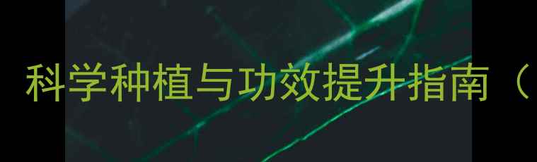 图片 人工种植人参的养生价值：科学种植与功效提升指南（附食用禁忌及辨别方法）1