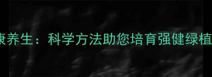 从根系养护到健康养生科学方法助您培育强健绿植的120天实践指南