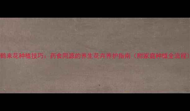 图片 仙鹤来花种植技巧：药食同源的养生花卉养护指南（附家庭种植全流程）2