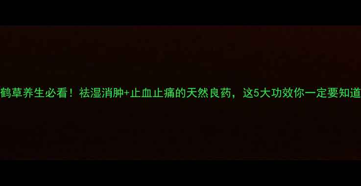图片 仙鹤草养生必看！祛湿消肿+止血止痛的天然良药，这5大功效你一定要知道！