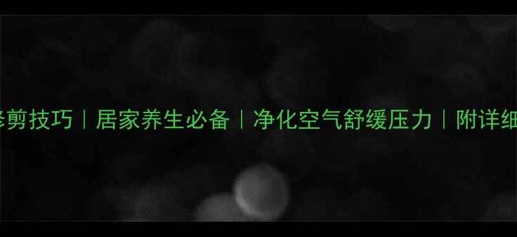 图片 令箭荷花修剪技巧｜居家养生必备｜净化空气舒缓压力｜附详细养护指南2