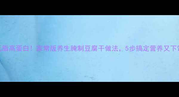低脂高蛋白家常版养生腌制豆腐干做法5步搞定营养又下饭