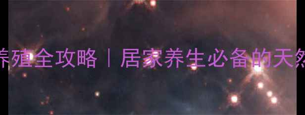 图片 佛珠多肉养殖全攻略｜居家养生必备的天然疗愈指南