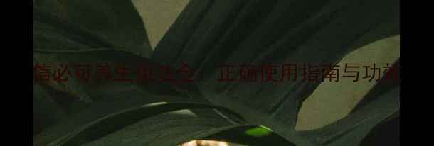 图片 信必可养生用法全：正确使用指南与功效