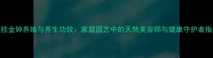 图片 倒挂金钟养殖与养生功效：家庭园艺中的天然美容师与健康守护者指南