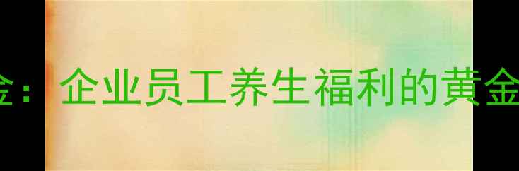 健康公积金企业员工养生福利的黄金规划指南