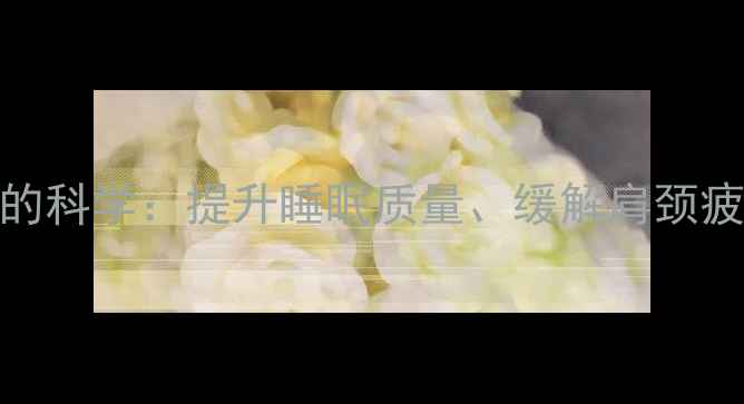 图片 健康养生内衣的科学：提升睡眠质量、缓解肩颈疲劳的权威指南