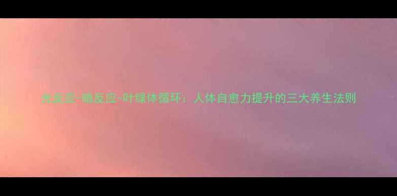 光反应-暗反应-叶绿体循环人体自愈力提升的三大养生法则