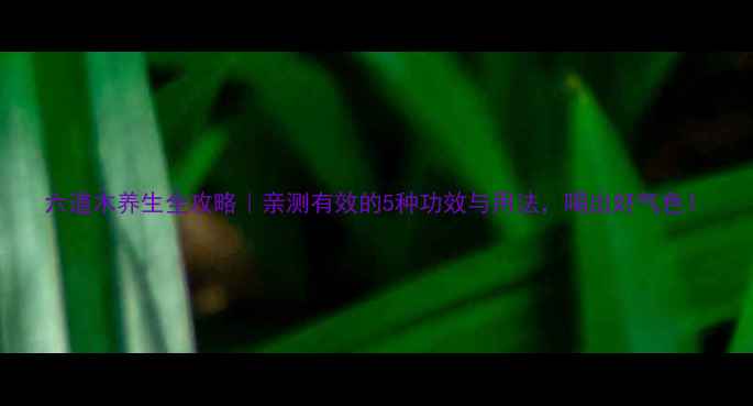 图片 六道木养生全攻略｜亲测有效的5种功效与用法，喝出好气色！