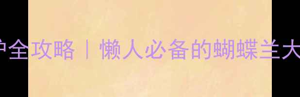 图片 兰科植物家庭养护全攻略｜懒人必备的蝴蝶兰大花蕙兰养护指南1