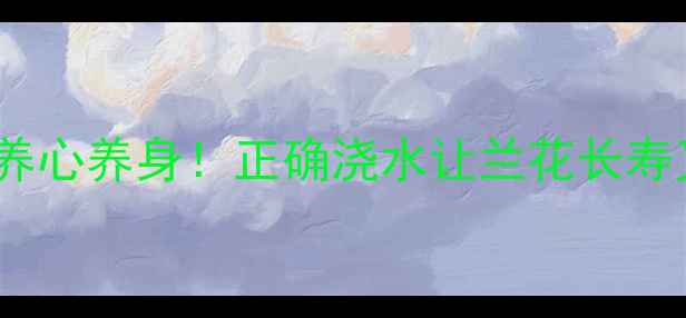 图片 兰花浇水全攻略｜养兰=养心养身！正确浇水让兰花长寿又开花，附季节养护秘籍