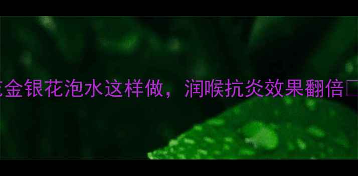 图片 养生党必看！菊花金银花泡水这样做，润喉抗炎效果翻倍🌿附体质搭配指南2