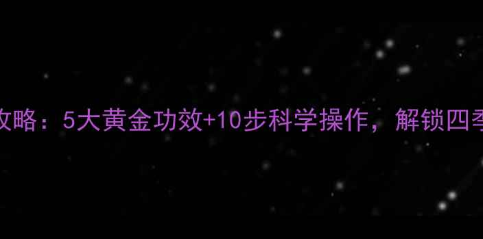 图片 养生壶泡茶全攻略：5大黄金功效+10步科学操作，解锁四季养生茶饮密码