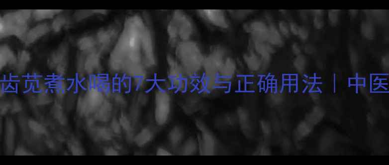 养生必备干马齿苋煮水喝的7大功效与正确用法中医天然排毒茶饮