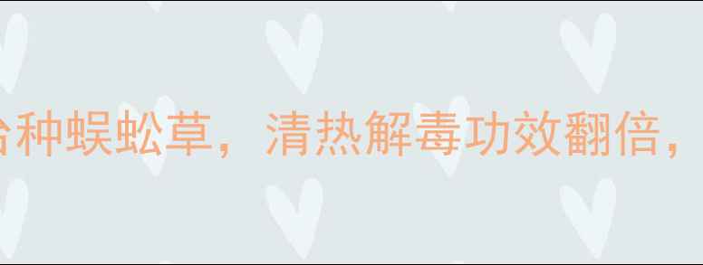养生必备家庭阳台种蜈蚣草清热解毒功效翻倍手把手教你3步搞定