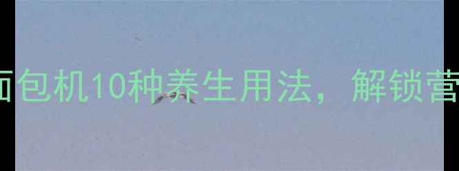 养生必备烤面包机10种养生用法解锁营养早餐新姿势