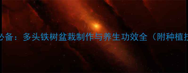 养生必备多头铁树盆栽制作与养生功效全附种植技巧