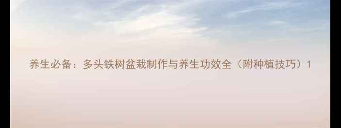 图片 养生必备：多头铁树盆栽制作与养生功效全（附种植技巧）1