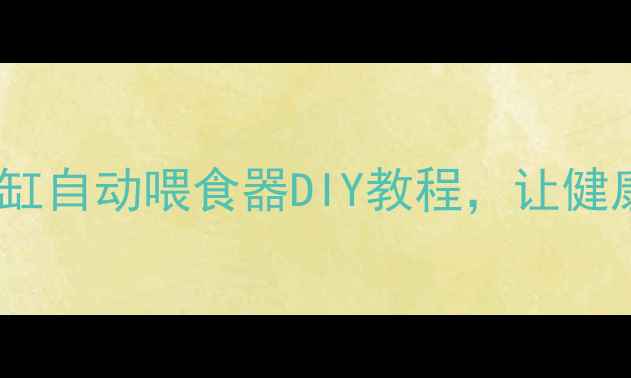 图片 养生必备：鱼缸自动喂食器DIY教程，让健康与鱼乐同源1