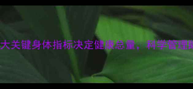 图片 养生必看！5大关键身体指标决定健康总量，科学管理助你活力全开