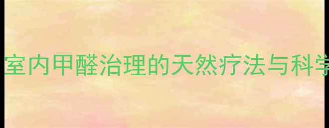 养生必看室内甲醛治理的天然疗法与科学养生指南
