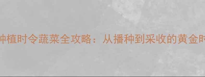养生必看家庭种植时令蔬菜全攻略从播种到采收的黄金时间表与科学方法