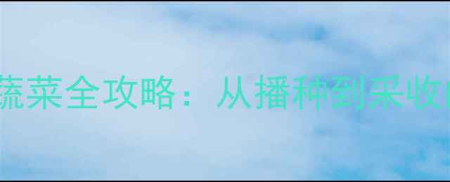 图片 养生必看！家庭种植时令蔬菜全攻略：从播种到采收的黄金时间表与科学方法2