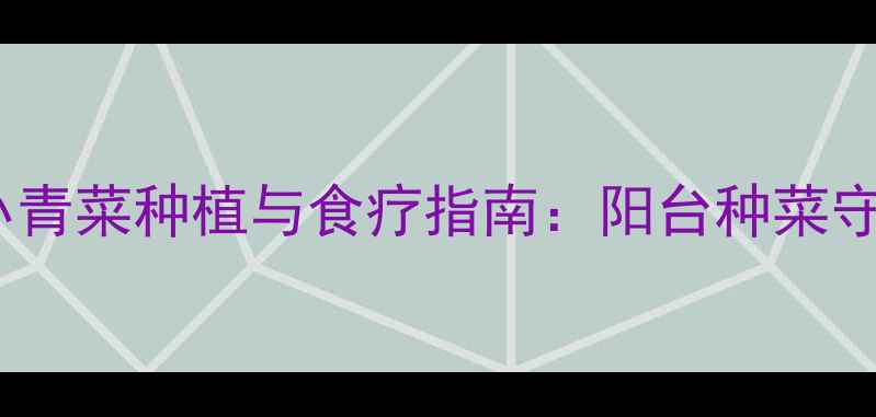 养生必看小青菜种植与食疗指南阳台种菜守护全家健康