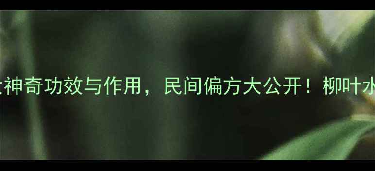 养生必读柳枝的10大神奇功效与作用民间偏方大公开柳叶水护肤秘籍食疗方全