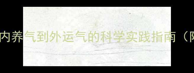 养生改变运势从内养气到外运气的科学实践指南附每日养生食谱