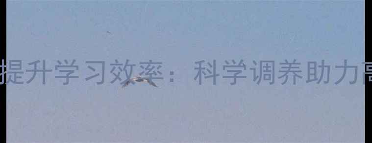 图片 养生方法提升学习效率：科学调养助力高效认知1