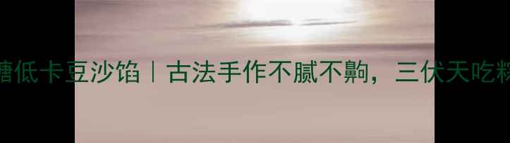 养生版低糖低卡豆沙馅古法手作不腻不齁三伏天吃粽子不犯困