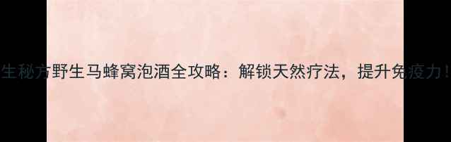 养生秘方野生马蜂窝泡酒全攻略解锁天然疗法提升免疫力