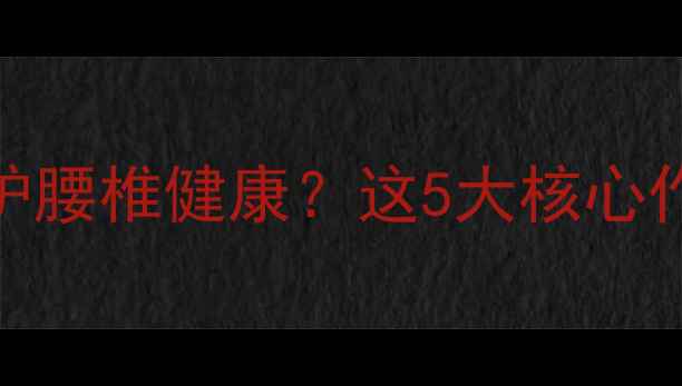 图片 养生腰带如何守护腰椎健康？这5大核心作用及选购指南全