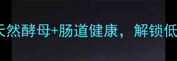 养生面包发酵全攻略天然酵母肠道健康解锁低糖低脂低GI的烘焙秘方