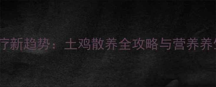 养生食疗新趋势土鸡散养全攻略与营养养生指南