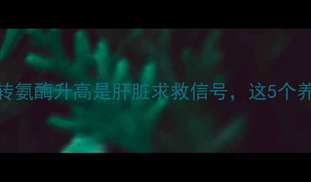 养肝护肝必看谷丙转氨酶升高是肝脏求救信号这5个养生习惯帮你远离肝病