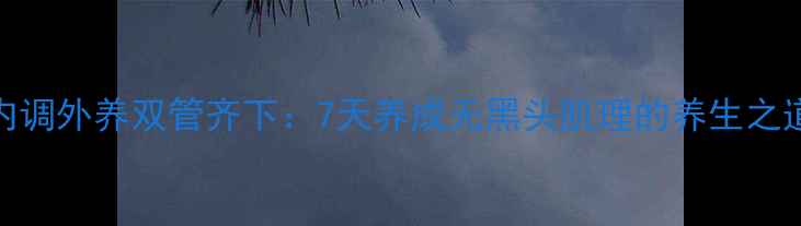 图片 内调外养双管齐下：7天养成无黑头肌理的养生之道