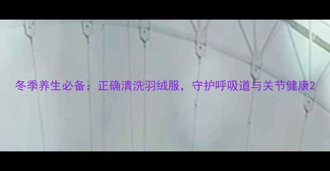 图片 冬季养生必备：正确清洗羽绒服，守护呼吸道与关节健康2