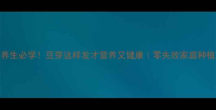 冬季养生必学豆芽这样发才营养又健康零失败家庭种植指南