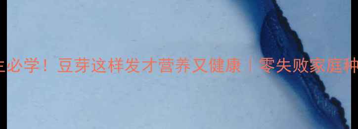 图片 冬季养生必学！豆芽这样发才营养又健康｜零失败家庭种植指南2