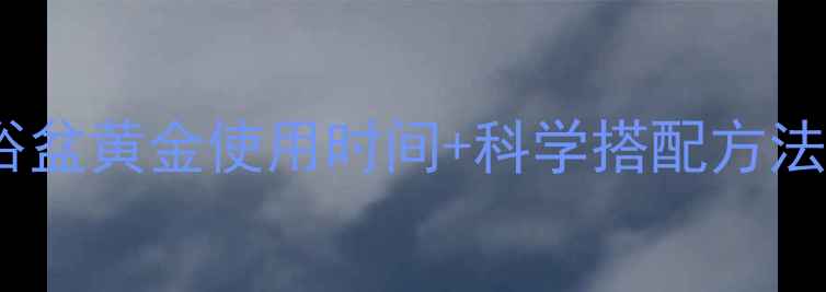 图片 冬季养生秘籍｜足浴盆黄金使用时间+科学搭配方法，泡出健康好气色2