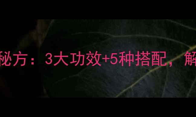 冬瓜皮煮水养生秘方3大功效5种搭配解锁天然祛湿良方